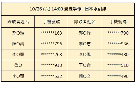 10/26-愛線手作-日本水引線 茶花胸針/髮夾(14:00場)