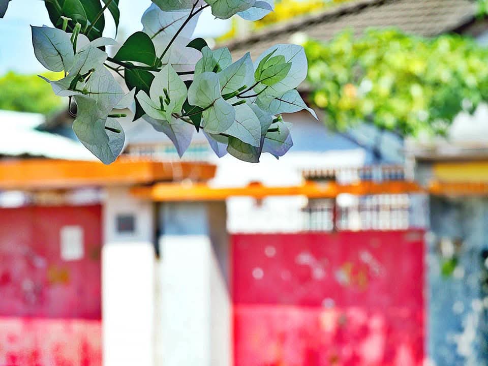 微觀影像建業自然活動