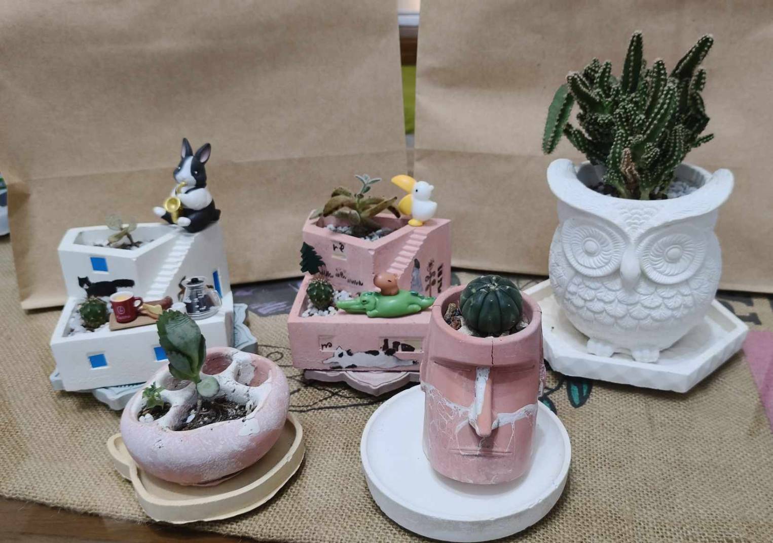 手作水泥盆的DIY體驗